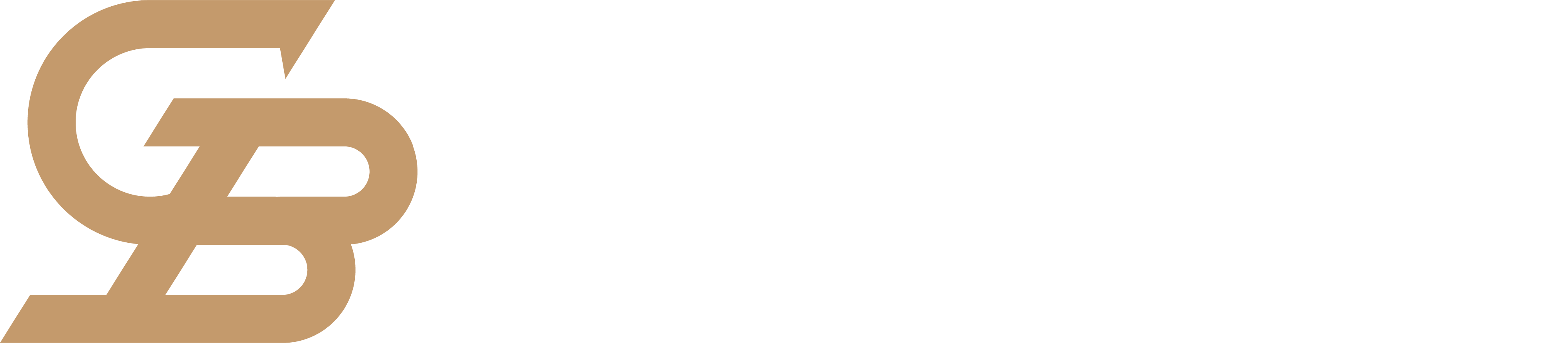 selubi.tech logo